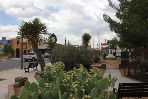 A street view featuring cacti, benches, and buildings under a cloudy sky in a small town.