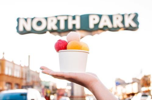 A hand holds a cup of colorful ice cream in front of a "North Park" sign.