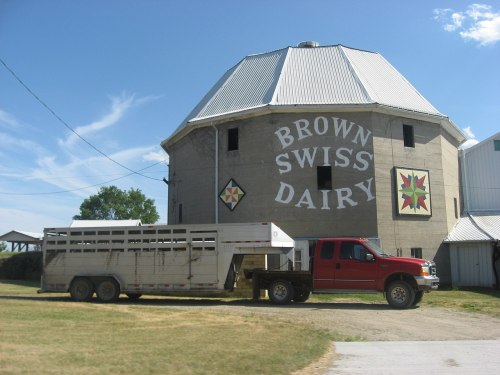 A red truck with a trailer parked beside a round dairy barn labeled "Brown Swiss Dairy" against a blue sky.