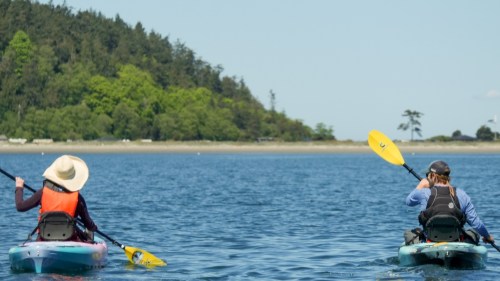Two people kayaking on a calm waterway, surrounded by lush greenery and a clear blue sky.