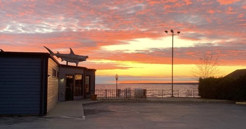 A vibrant sunset over the water, with a building featuring a shark statue in the foreground.