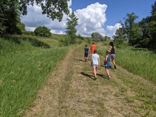 A group of children walking along a grassy path under a blue sky with fluffy clouds.
