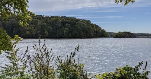 A serene lake scene with lush greenery and a distant wooded shoreline under a clear blue sky.