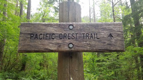 Wooden signpost reading "Pacific Crest Trail" in a lush green forest.