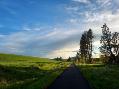 A peaceful pathway through green fields, lined with trees under a blue sky with scattered clouds.