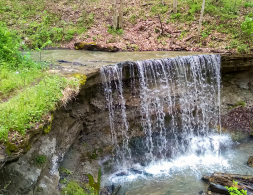 A small waterfall cascading over a rocky ledge into a clear stream, surrounded by lush greenery and trees.