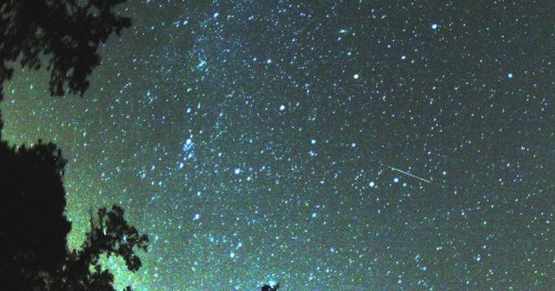 A starry night sky filled with numerous stars and a faint streak of a meteor. Silhouettes of trees at the bottom.