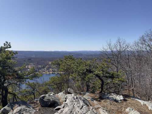 A scenic view from a rocky overlook, featuring trees, a lake, and distant mountains under a clear blue sky.