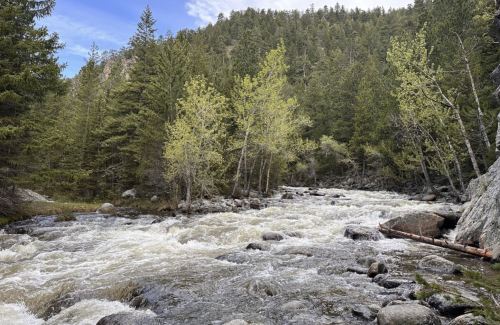 A rushing river flows through a forested landscape, surrounded by green trees and rocky banks under a blue sky.