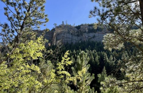A scenic view of a rocky cliff surrounded by lush green trees under a clear blue sky.