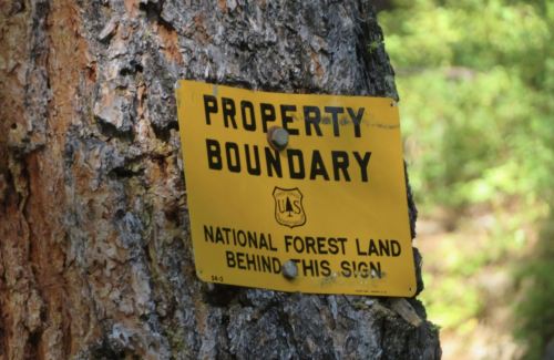 Yellow sign on a tree indicating property boundary for national forest land.