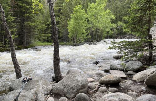 A rushing river flows through a forested area, surrounded by rocks and green trees. Hiking poles rest on a stone.