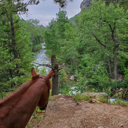 A horse's head in the foreground, overlooking a lush green landscape with a winding river and trees.