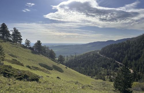 A scenic view of rolling hills and valleys, with trees and a blue sky dotted with clouds in the background.