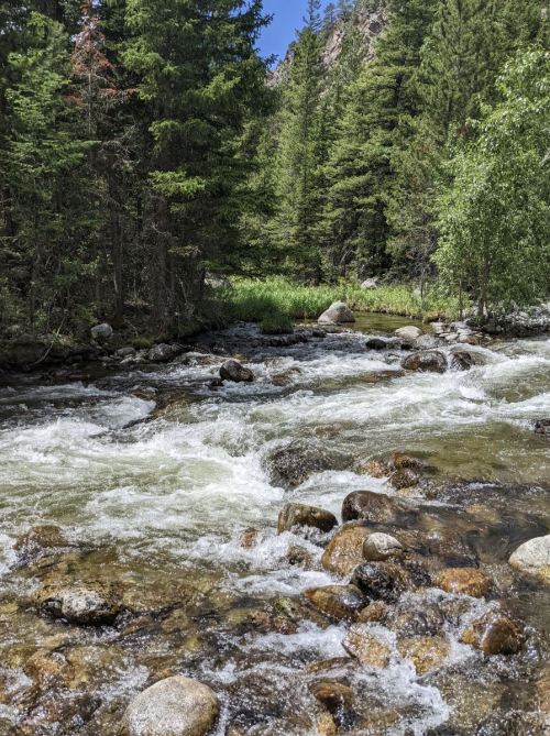 A flowing river with rocky banks, surrounded by lush green trees and a mountainous landscape in the background.