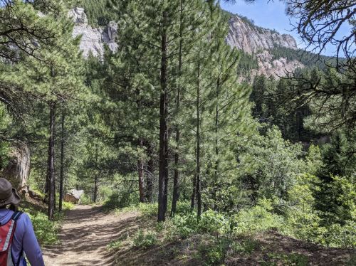 A person walks along a dirt path through a lush green forest with tall pine trees and rocky cliffs in the background.