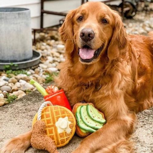 A happy golden retriever lying on the ground with colorful toy food items around it.