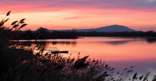 A serene lake at sunset, with vibrant pink and orange skies reflecting on the water and silhouettes of reeds in the foreground.