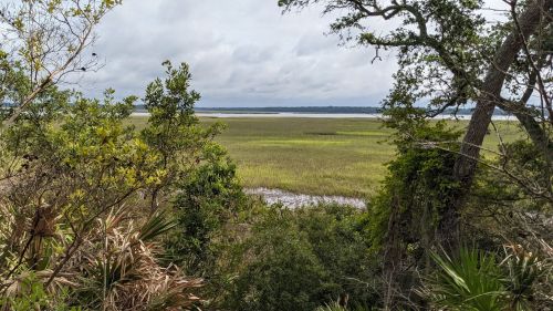 Lush greenery frames a serene marsh landscape under a cloudy sky, with water and grass stretching into the distance.
