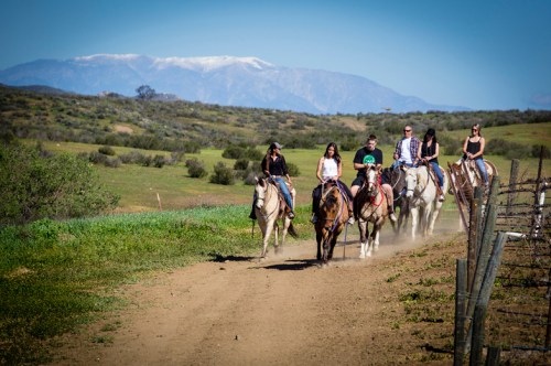 A group of six people riding horses along a dirt path with mountains in the background on a sunny day.