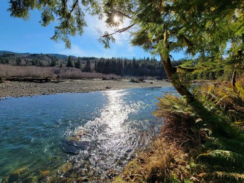 A serene river scene with sunlight reflecting on the water, surrounded by trees and mountains in the background.