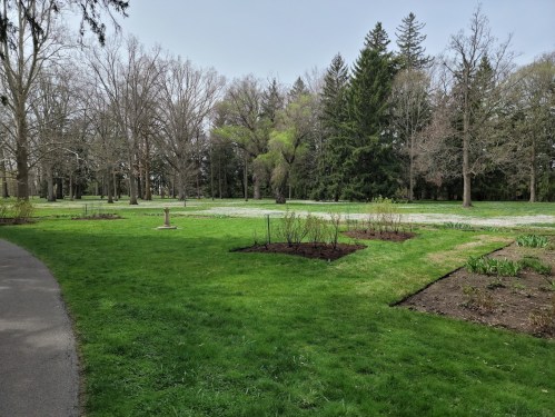 A peaceful park scene with green grass, trees, and garden beds along a winding path on a clear day.