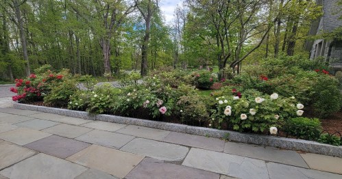 A lush garden with colorful flowers, including peonies and azaleas, surrounded by greenery and trees.