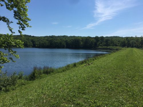 A serene lake surrounded by lush greenery under a clear blue sky.