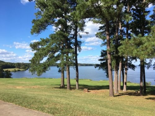 A serene lakeside view with tall pine trees and a grassy area under a blue sky with scattered clouds.