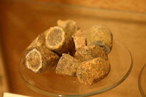A collection of various textured rocks displayed on a glass plate.