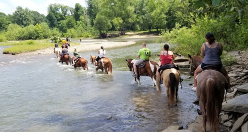 A group of people on horseback crossing a shallow river surrounded by lush greenery.