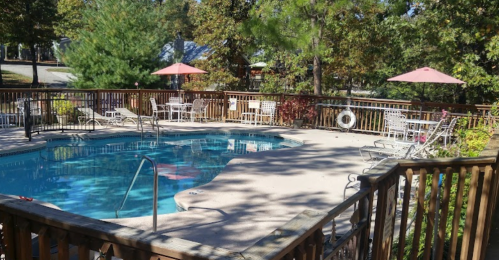 A sunny pool area with lounge chairs, umbrellas, and surrounded by trees, creating a relaxing outdoor atmosphere.