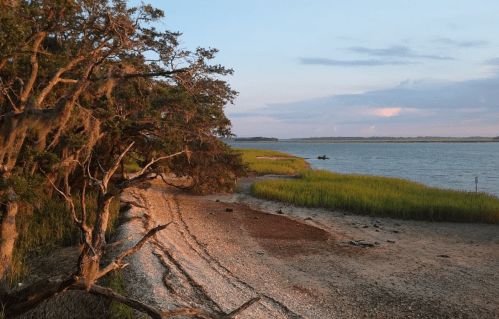 A serene riverside scene with a sandy shore, lush green grass, and a tree, under a pastel sky at sunset.