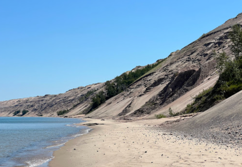 A sandy beach with steep, sandy cliffs and greenery under a clear blue sky.