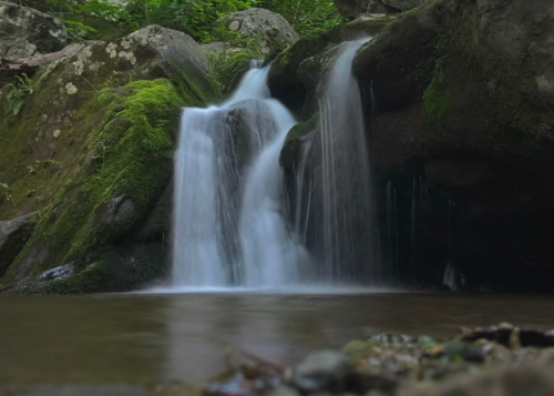 A serene waterfall cascading over moss-covered rocks into a calm pool, surrounded by lush greenery.
