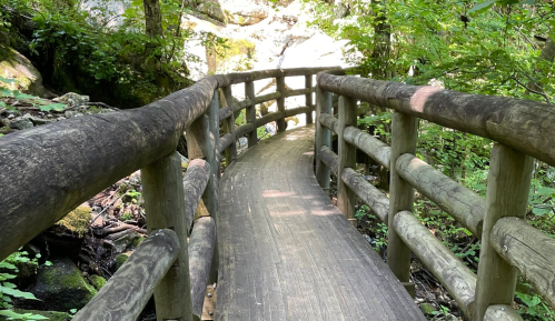 A winding wooden bridge surrounded by lush greenery and rocky terrain in a serene forest setting.