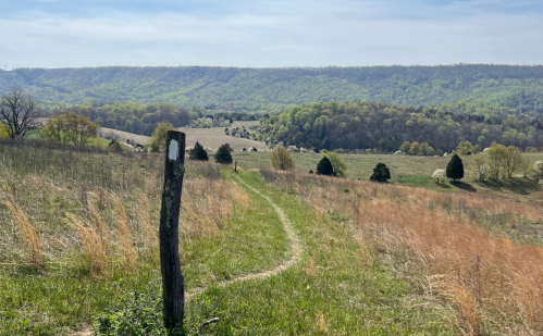 A winding trail leads through a grassy field, surrounded by rolling hills and trees under a clear blue sky.