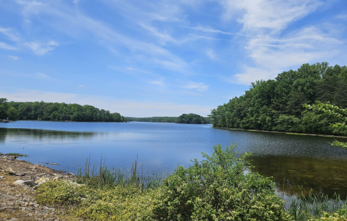 A serene lake surrounded by lush greenery and trees under a clear blue sky.