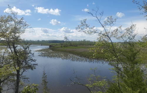 A serene landscape featuring a calm river, lush greenery, and a blue sky with scattered clouds.