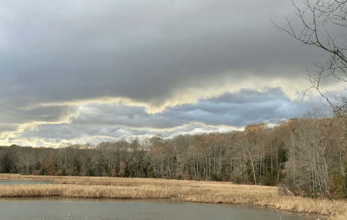 A serene landscape featuring a lake, tall grasses, and a cloudy sky with hints of sunlight peeking through.