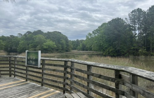 A wooden boardwalk overlooks a serene wetland with lush greenery and cloudy skies in the background.