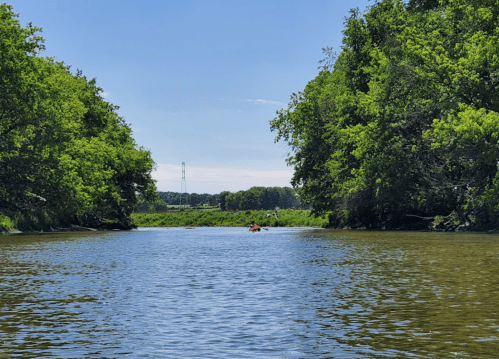 A serene river scene surrounded by lush green trees under a clear blue sky, with a small kayak in the distance.
