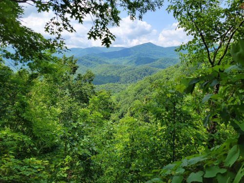 Lush green mountains under a blue sky, framed by trees, showcasing a scenic view of the landscape.
