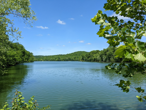 A serene lake surrounded by lush greenery under a clear blue sky with a few clouds.
