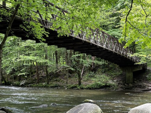 A wooden bridge arches over a calm river, surrounded by lush green trees and rocky banks.