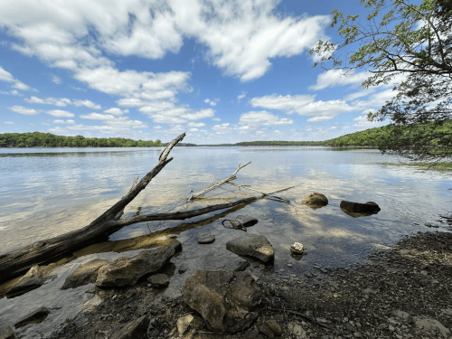 A serene lake scene with clear water, rocky shore, and a few clouds in a blue sky. A fallen branch rests on the rocks.