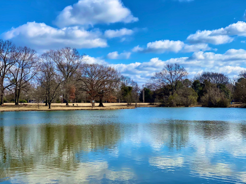 A serene lake reflects fluffy clouds and trees under a bright blue sky on a calm day.