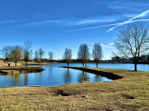 A serene lake surrounded by trees and grassy banks under a clear blue sky with wispy clouds.