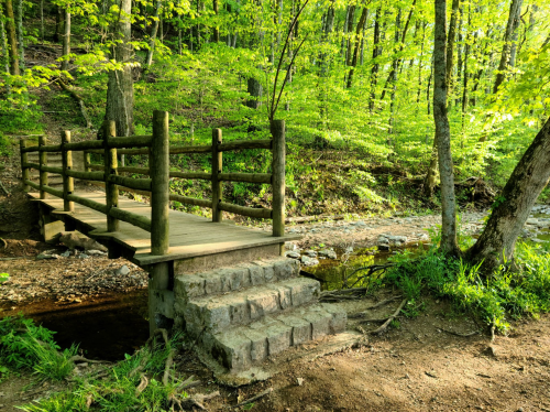 A wooden bridge with railings crosses a small stream, surrounded by lush green trees and foliage.