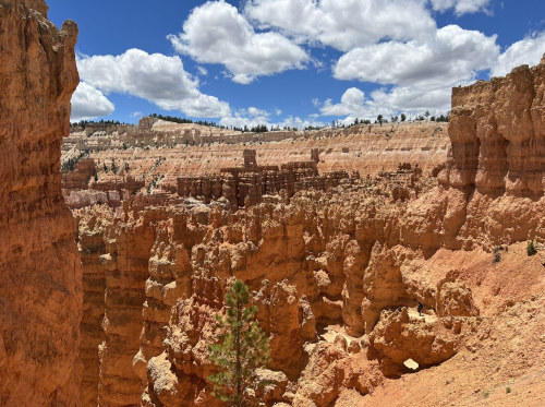 A panoramic view of Bryce Canyon's unique rock formations under a blue sky with fluffy clouds.